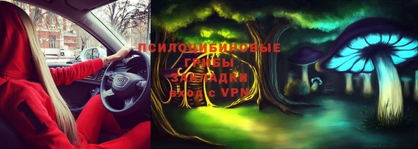 индика Алексеевка