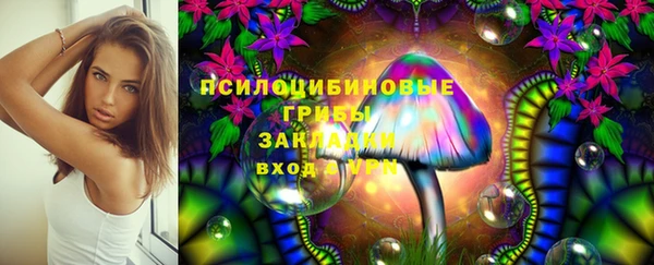 мяу мяу мука Алзамай