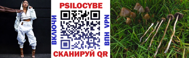 Псилоцибиновые грибы Cubensis Астрахань